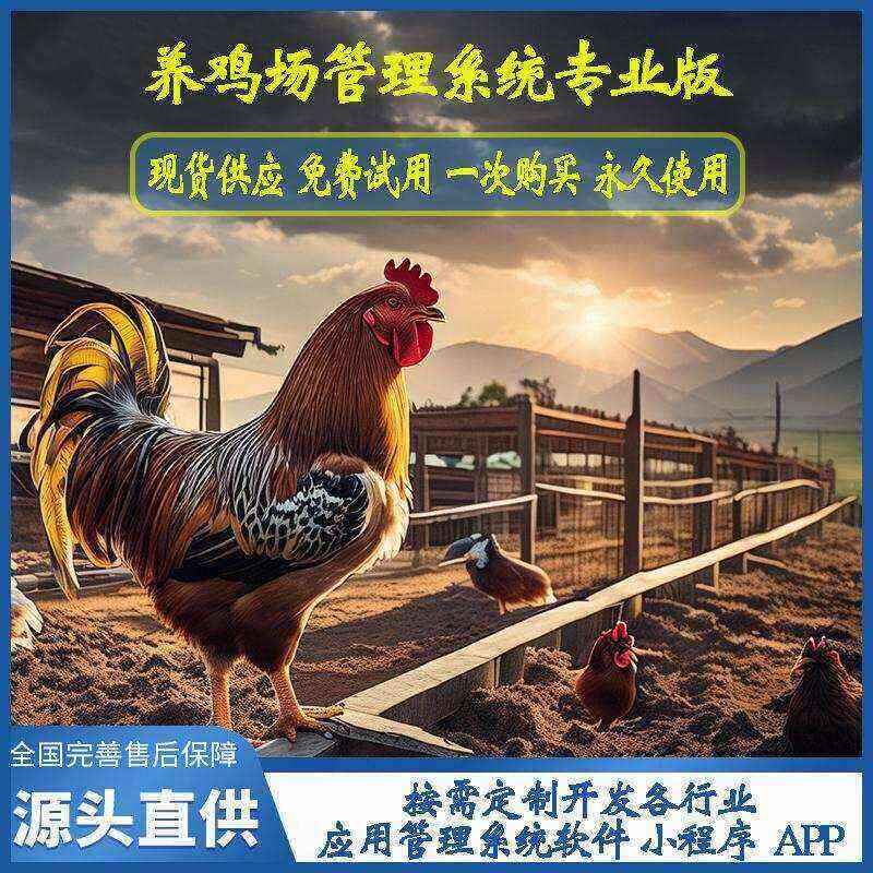 養(yǎng)雞場(chǎng)管理系統(tǒng)專(zhuān)業(yè)版現(xiàn)貨供應(yīng)免費(fèi)試用按需定制開(kāi)發(fā)畜牧業(yè)軟件小程序